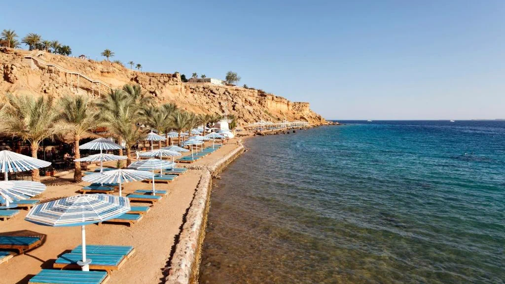 الفندق الباتروس شرم ريزورت - شرم الشيخ